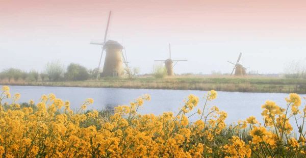 Netherlands, Kinderdijk Windmills next to stream